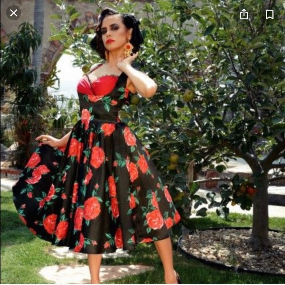 Pinup Girl Clothing Grace Dress in Red Roses - 2x